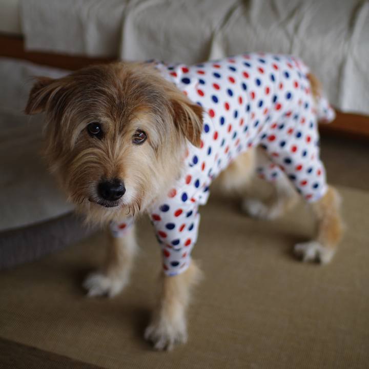 4ed79e66 1bcb 4df0 abe4 f1e6f807a7f6 1618371575258