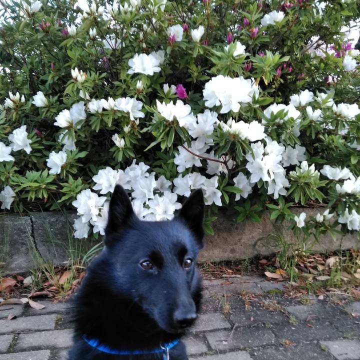 4ed7a1b1 1445 4b6c 8f00 a15f1b6ca623 1556315536859