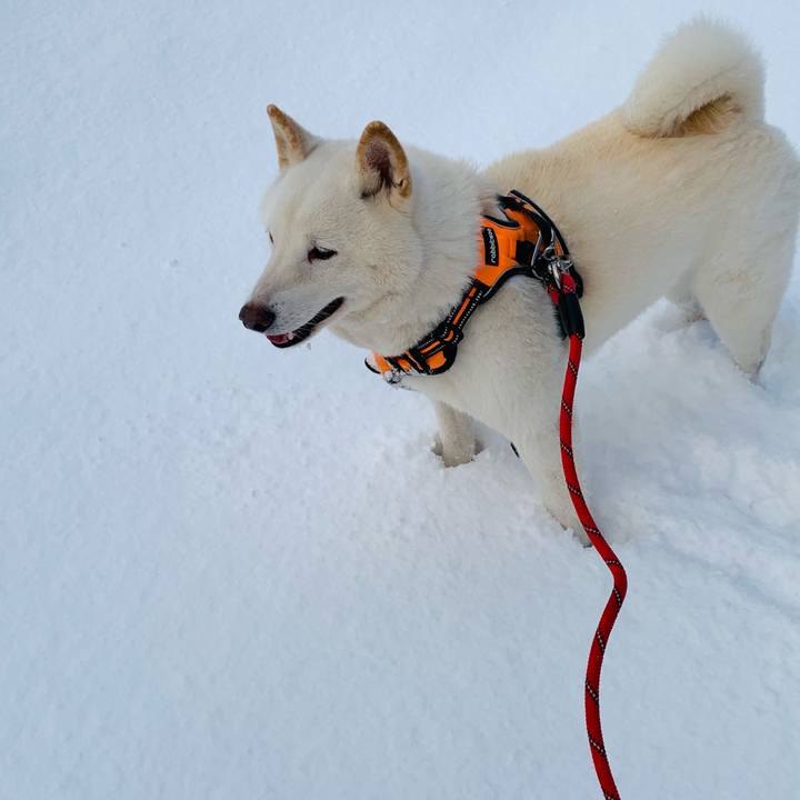 4ed7b824 5497 450a b7bd 3f3a597bb90d 1639355746784