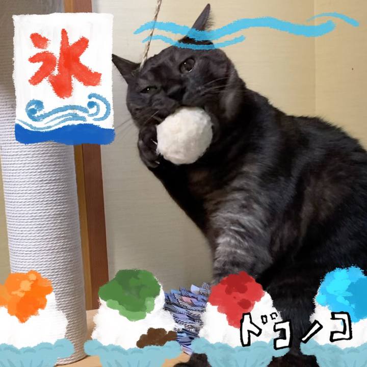 4ed7be22 83e2 450b 9d7c d13fa5a01801 1723439521383