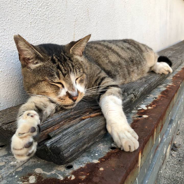 4ed7d7b3 a37b 4e86 aff6 5a47ebf3be8f 1538832936652