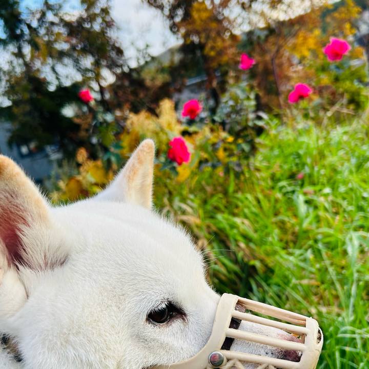 4ed7fc88 dff3 4e8b 9dee b75682e1f343 1697406550847