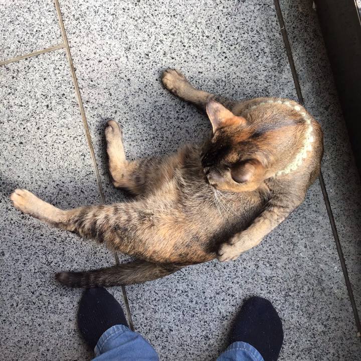 4ed81a0e 6190 407b 9be3 cc53831c1d4b 1646197552302