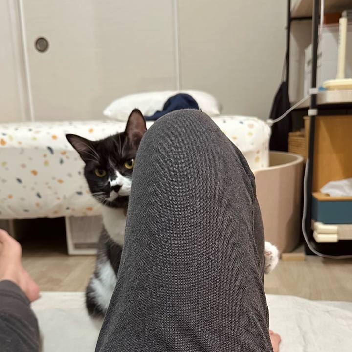 4ed81a30 f148 4076 b1f3 27e761233c18 1757677329803