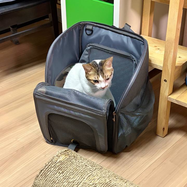 4ed81b6b 657d 4b32 99a8 02644db9b057 1764627298038