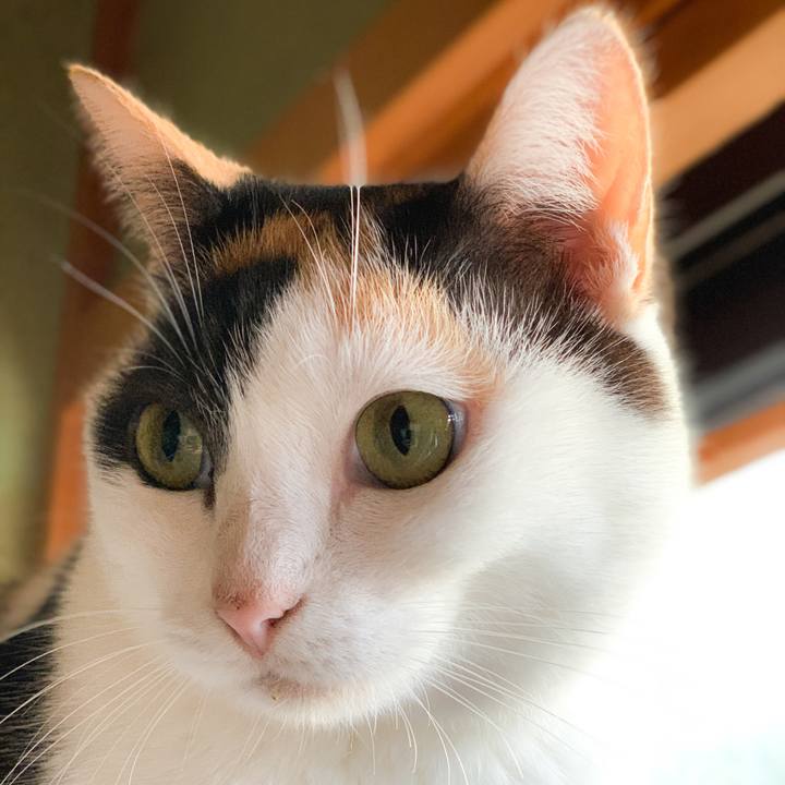 4ed888f1 186e 43b1 b697 6f48fb4431b4 1573523011572