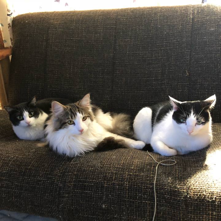 4ed8a202 eb36 4bb1 8088 07e6fd728347 1521264351302