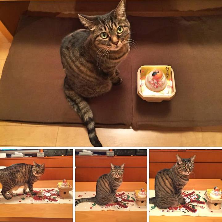 4ed8a41f b29a 4b55 bea9 b91e8081597e 1767435786031