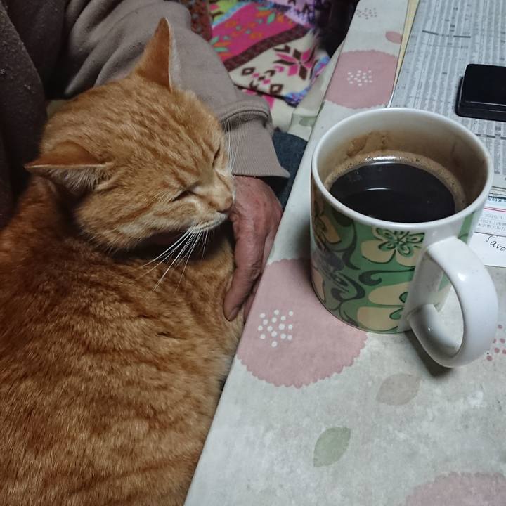 4ed8a8b2 c180 40d1 a1b0 31b0bc298ffc 1577392684754