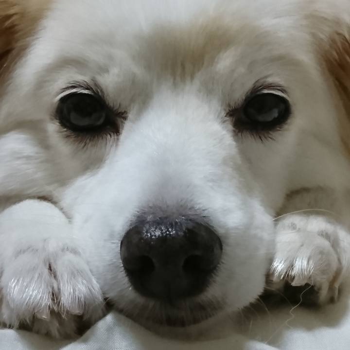 4ed8de7b ccf1 4fa0 a75e c03b5d686d03 1637206830833