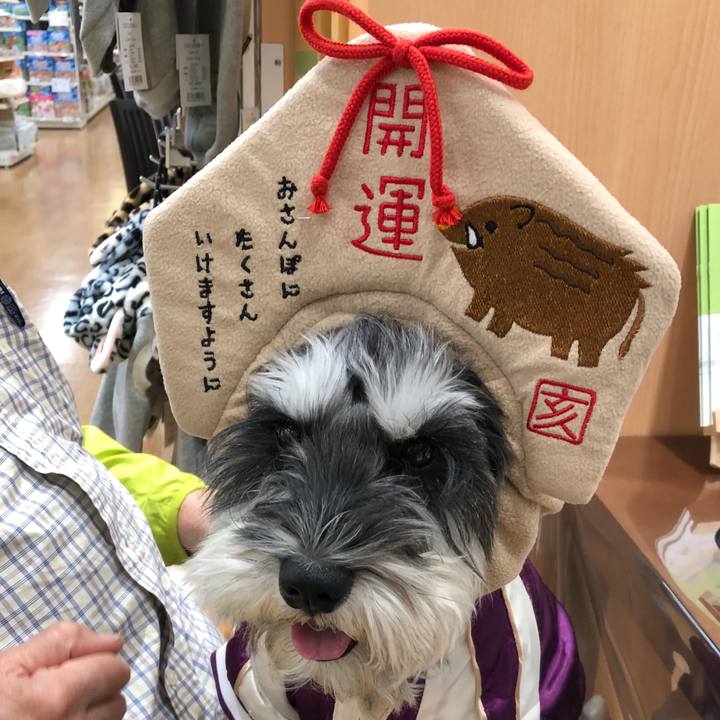 4ed90dc8 bcde 4d50 8ba2 f8b1431c63f6 1546275410264