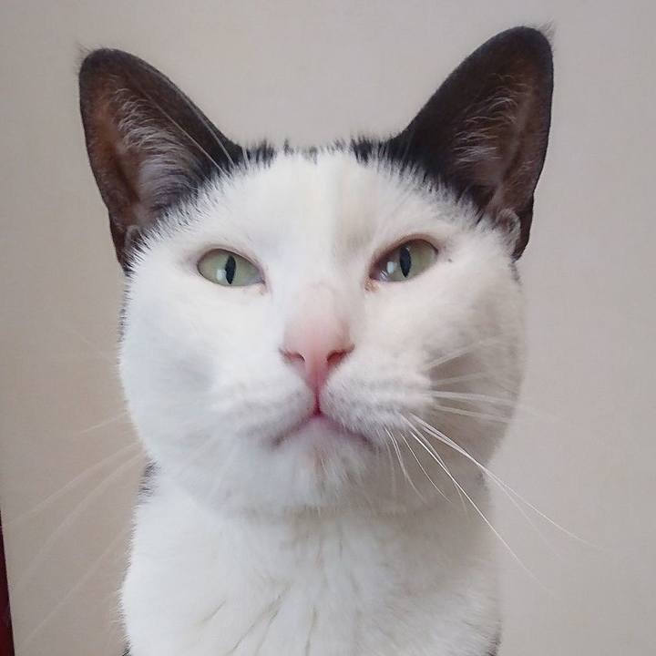 4ed98a01 11d7 42aa ac21 278a2d36b9d2 1554523445129