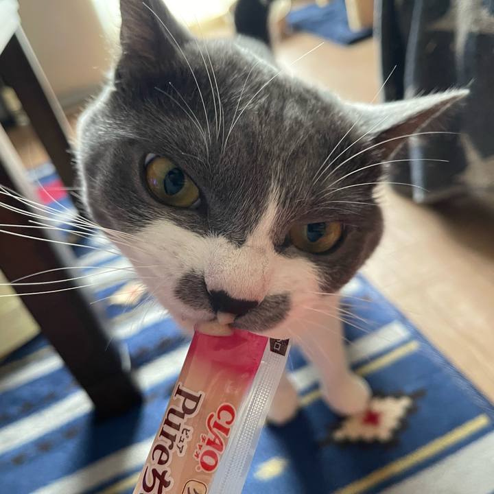 4ed9bd65 460f 4dac aabd ba11a035340c 1661077778402