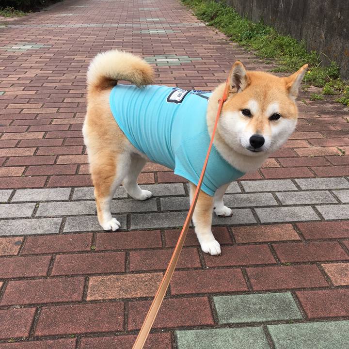 4ed9e382 dc66 43c9 bc08 e3001ac16ac8 1555468493984