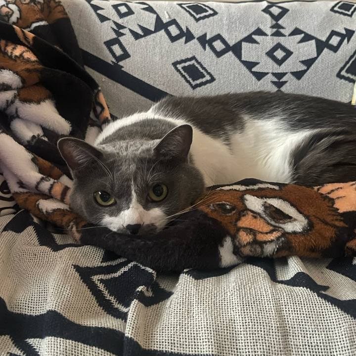 4ed9ff62 c9a8 4201 8963 a1b11fdaa0ae 1699514993903