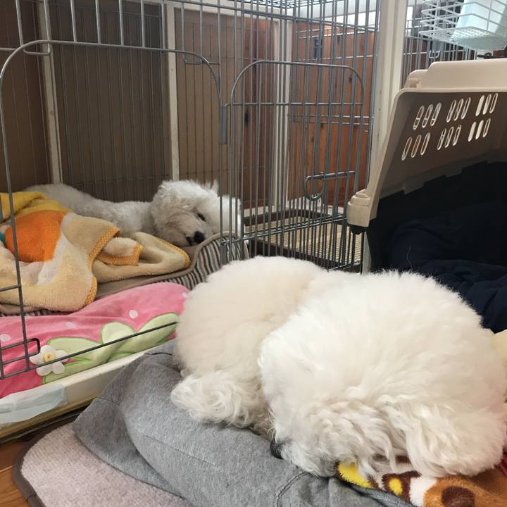 4eda3b5c aff4 450c ad1d d148653e6584 1574042148164