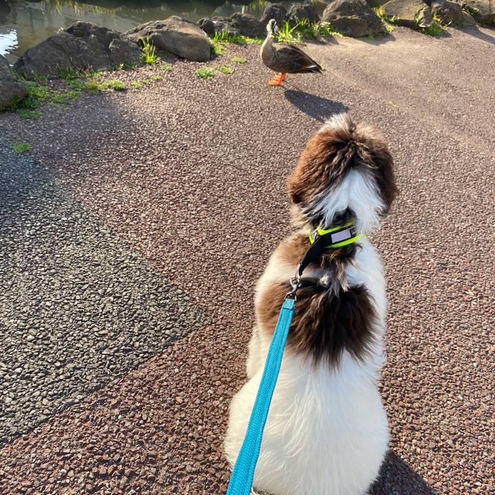 4eda6135 a99a 4f81 be89 cc20490e377c 1618994069010