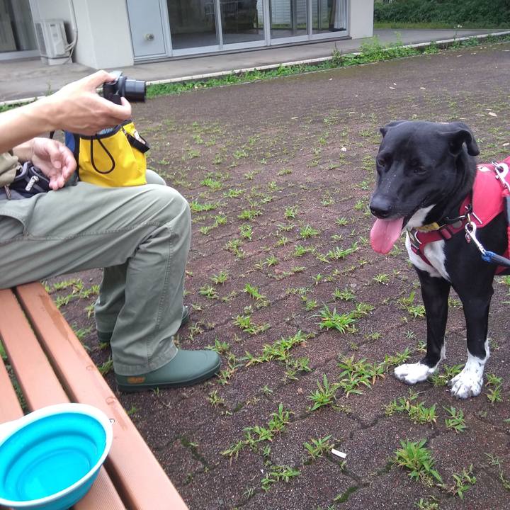 4eda6b1c 918c 4450 82e7 89025cca625d 1593561522300