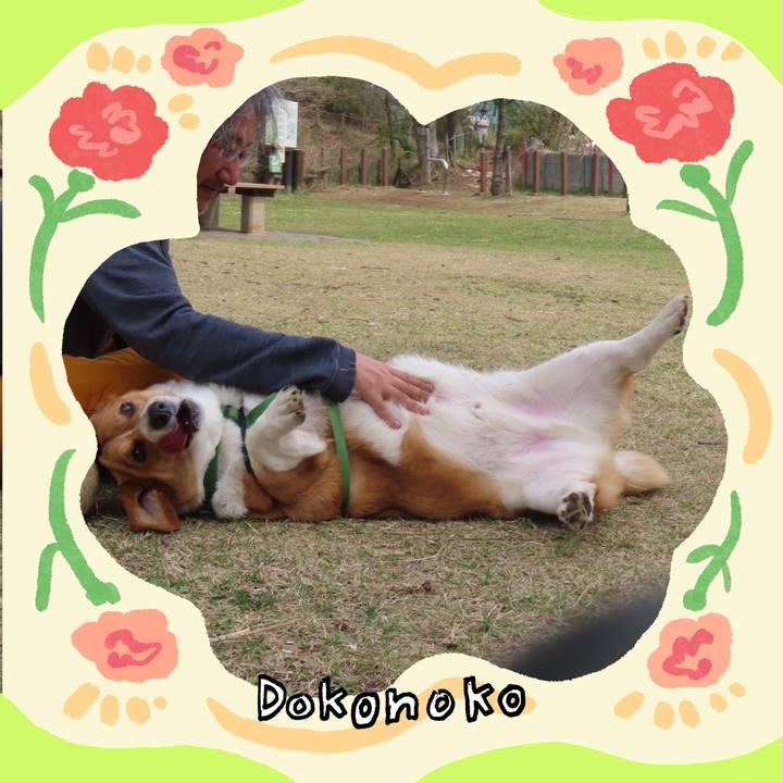 4edaad68 a969 4ee0 ae75 24228bd2f10c 1715477767346