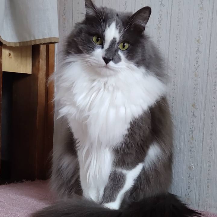 4edab4fc 0403 42c5 981c e24fa75ba83f 1651633571747