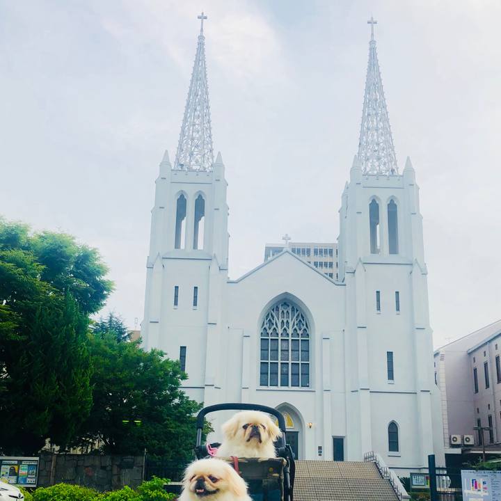 4edb1c42 111d 4b06 a3fb 8b6b82358a24 1563852119723