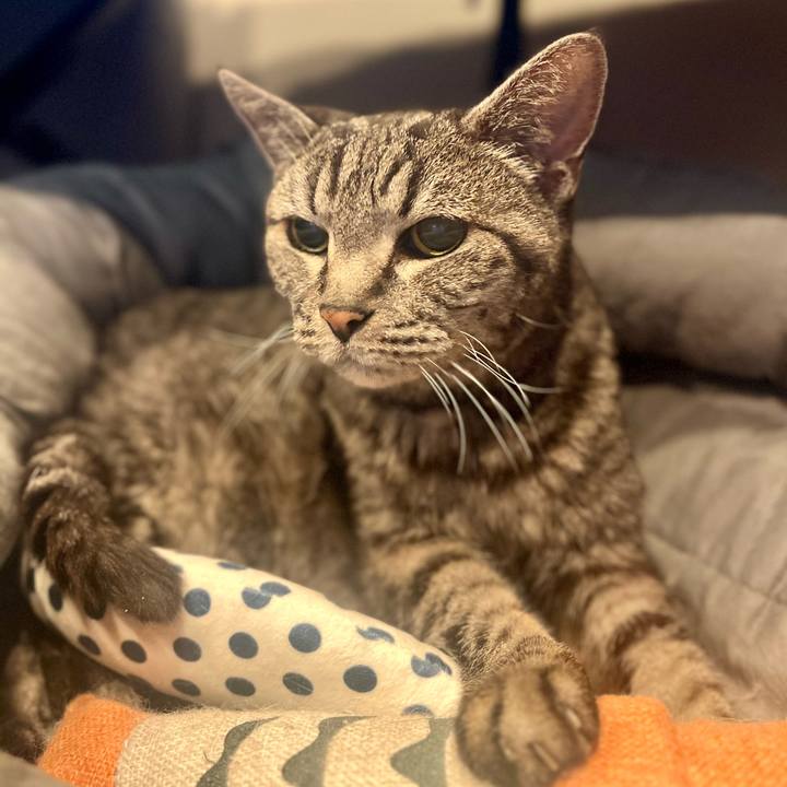 4edb831e 7644 4a1d a44e ae968d33f616 1758285384727