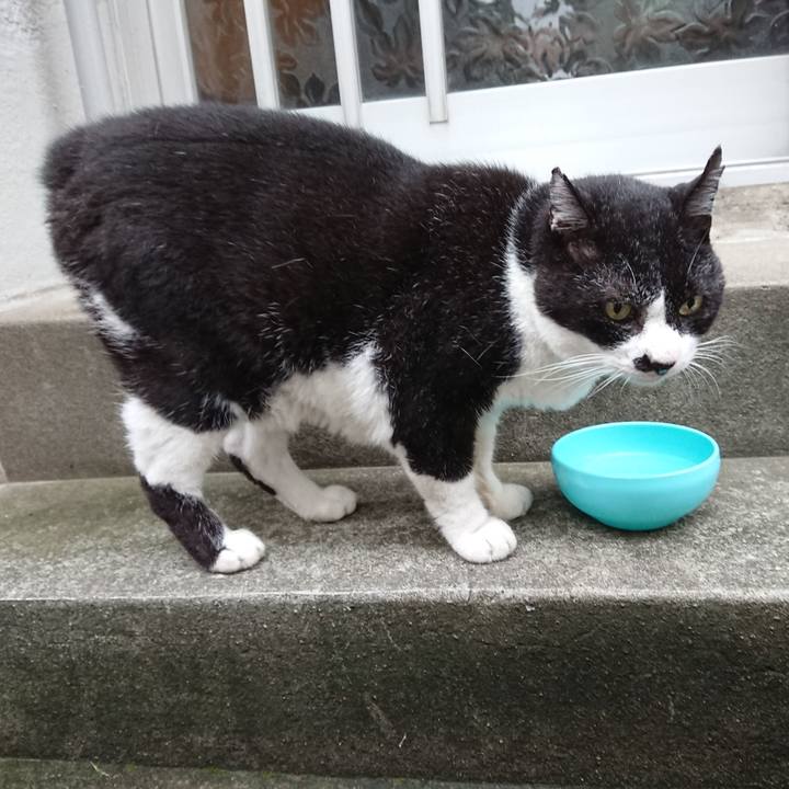 4edb9c0a 69d4 4ab2 9749 3c3cbdca0b4a 1695440554566