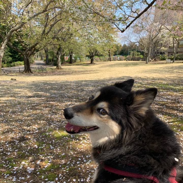 4edbb5a4 2523 4aa8 aac1 30e9113f01cf 1585981541692