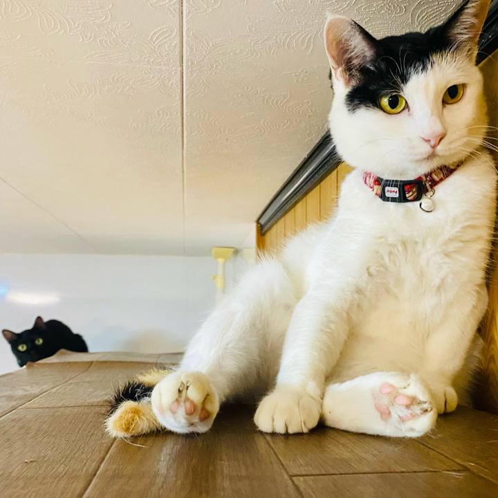 4edbbec6 2023 425d 8c54 b54e06f056c5 1660652958494