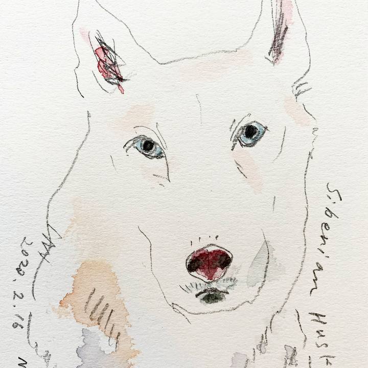 4edbcec8 d7e8 4013 976d 7b05bdc1e544 1581835681525