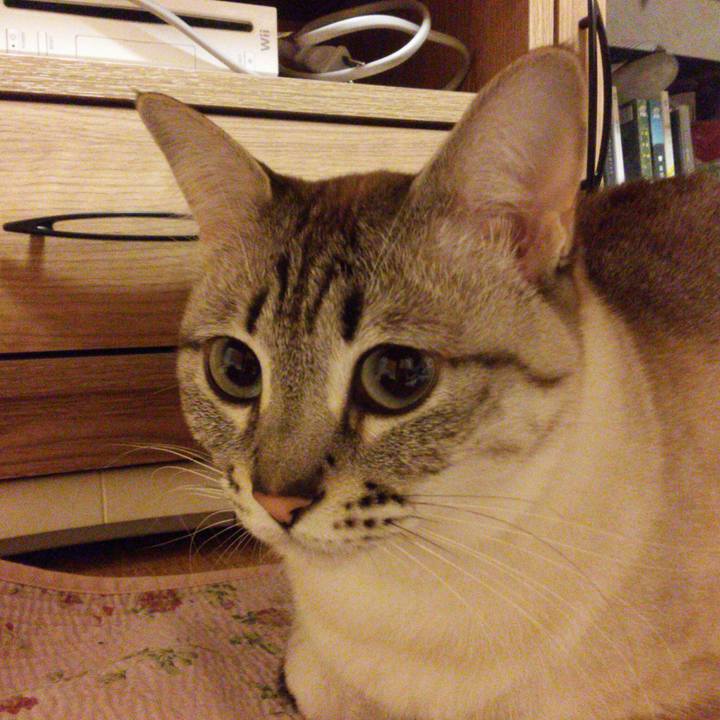 4edbda8a 7ddc 4023 8156 932bcb8d40d6 1525352714210