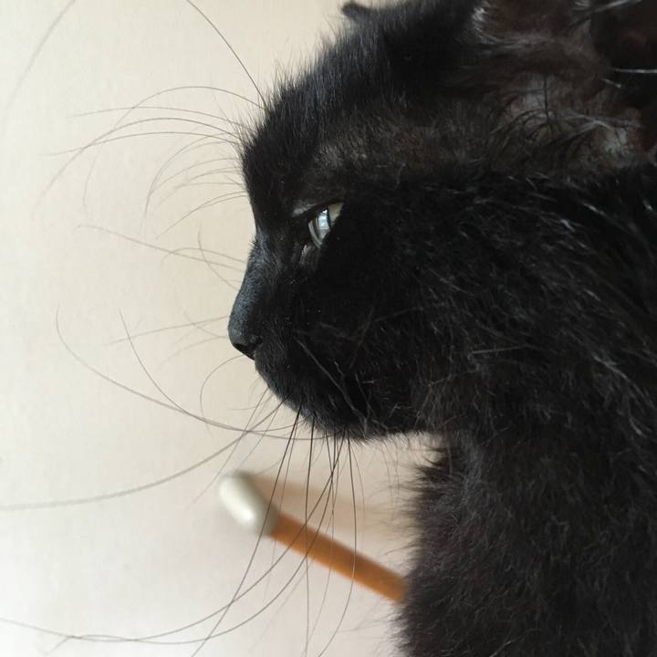 4edbde6a 2bca 404d a405 2399f9d8da1d 1532935052921