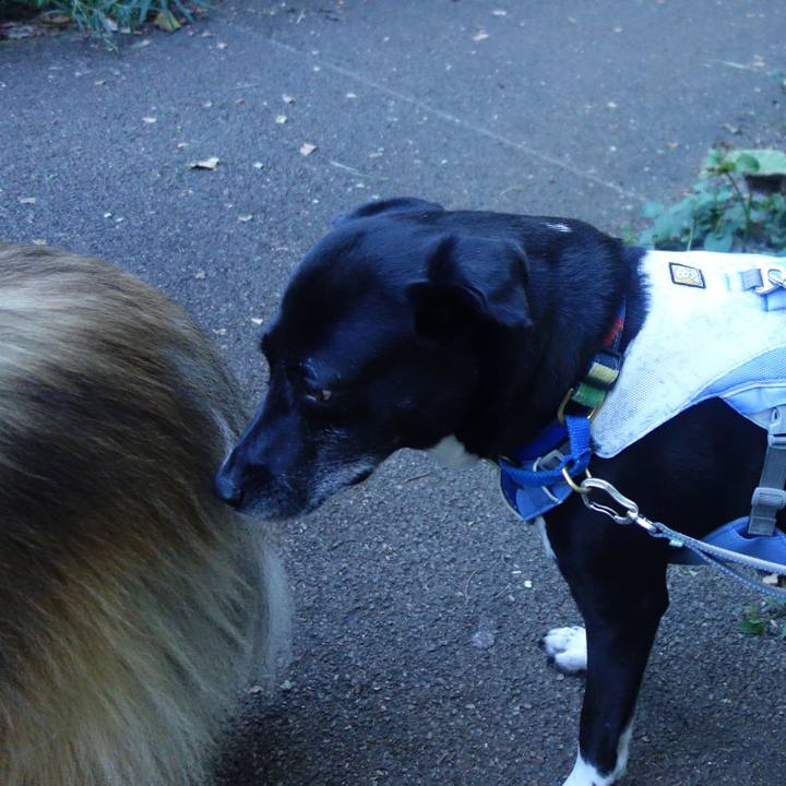 4edbe5bc ed44 4569 b8d2 24bf55fa3308 1693525644233