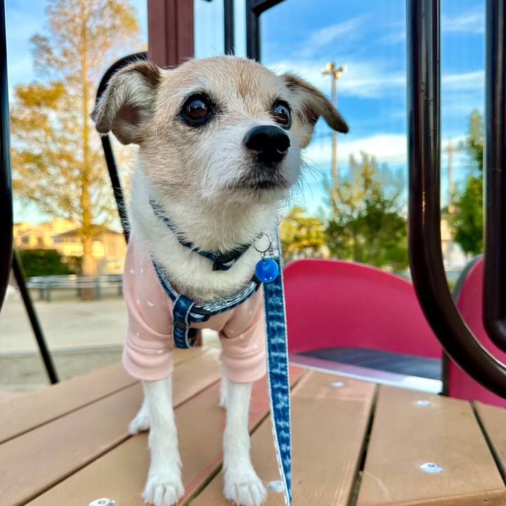 4edc1735 d264 47da b980 770cac13a6c9 1698015603705