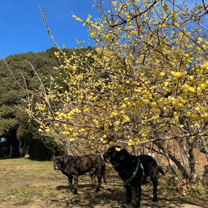 4edc64c4 1a76 46dc 8e9a 29669eb23942 1769431328431