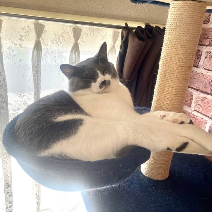 4edc9752 bf59 4369 9d50 f68b62ce685e 1636250351022