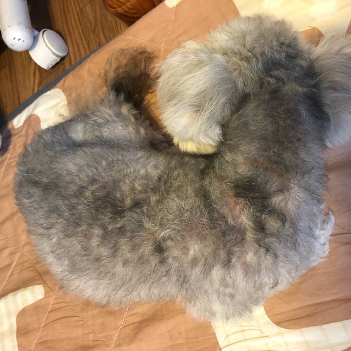 4edd1989 8d8b 4d6c 955c b5905cf1f1ec 1634007812372