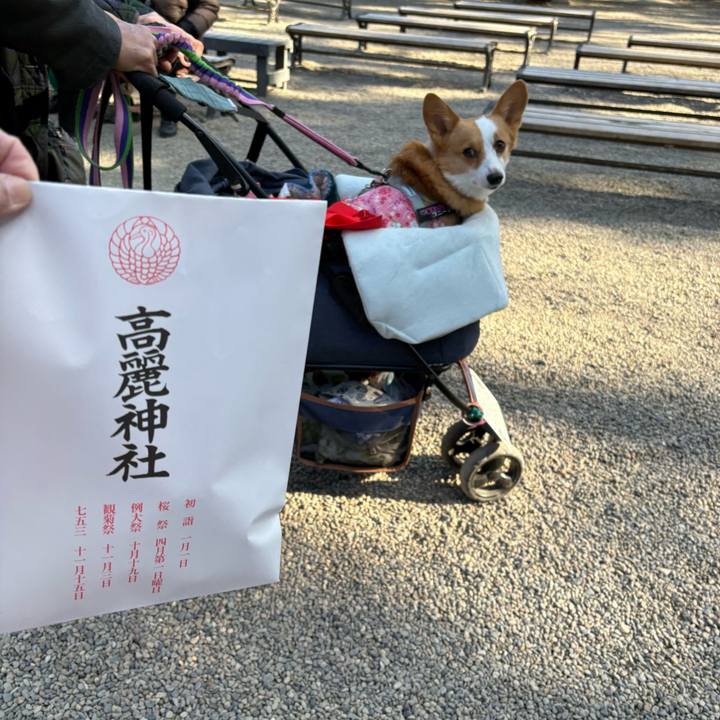 4edd2458 6993 49b8 95fc 58bac142da2c 1769326936095