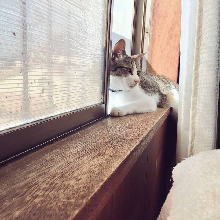 4edd4f3c 1cff 496e 9f5d 4b6c8c0d466a 1525231971893