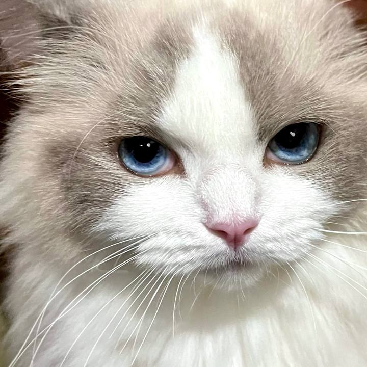 4edd92e9 e4b2 4532 b62d 0738ec010631 1659958693069