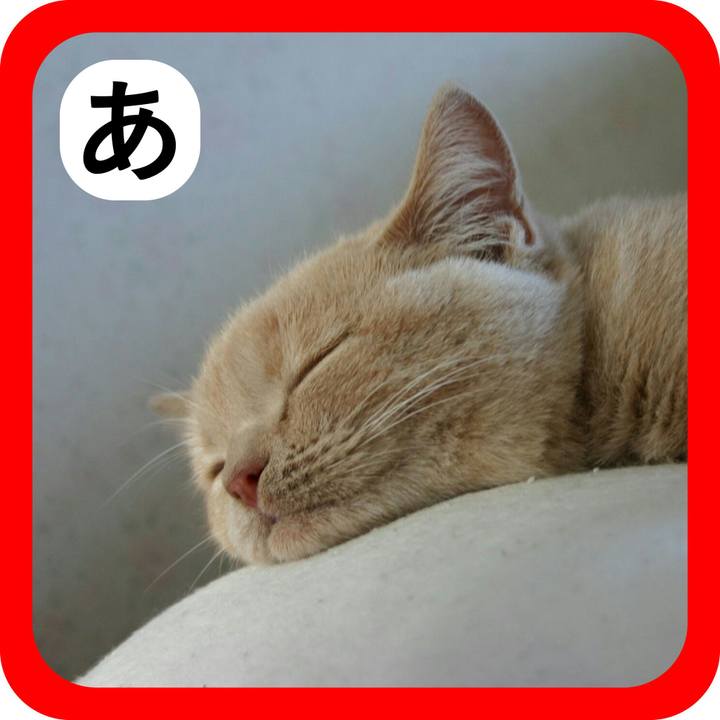 4eddbfb6 54c0 4fc3 b766 2ce362085f46 1514969714149