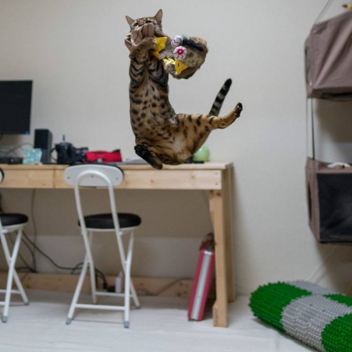 4eddd787 a489 4e5f af71 45fd1fae0635 1518101195151