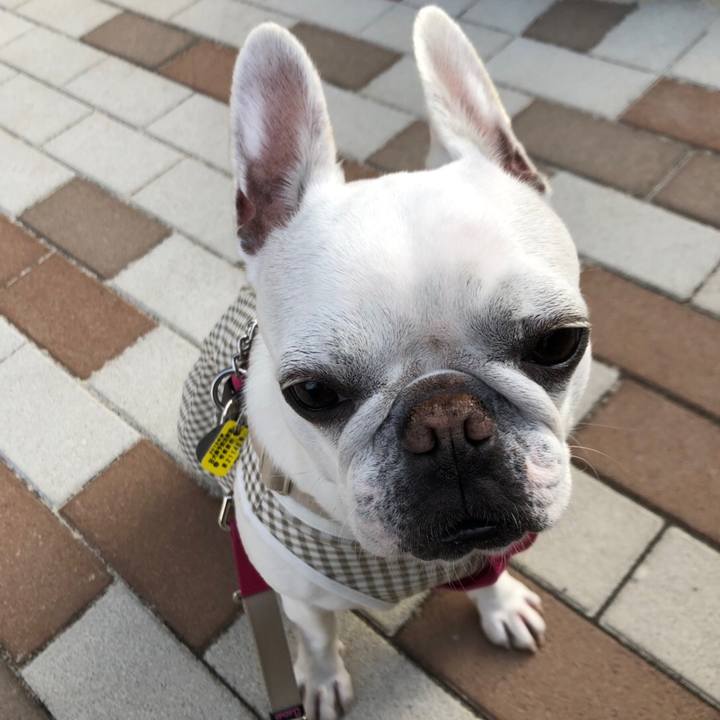 4eddeff4 ac7d 4298 a0c2 69e7251a7949 1558134444907