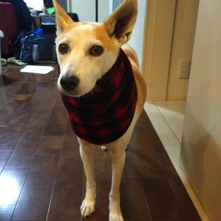 4eddfab5 182d 48c3 9466 e44087933cb4 1644936556896