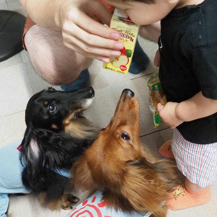 4ede00a3 88a3 4112 a456 9115d3cb16c5 1727010196661