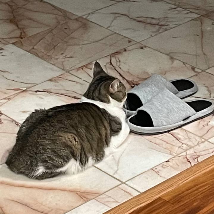 4ede0710 6f59 4c2f a422 42a31c201156 1697329656175