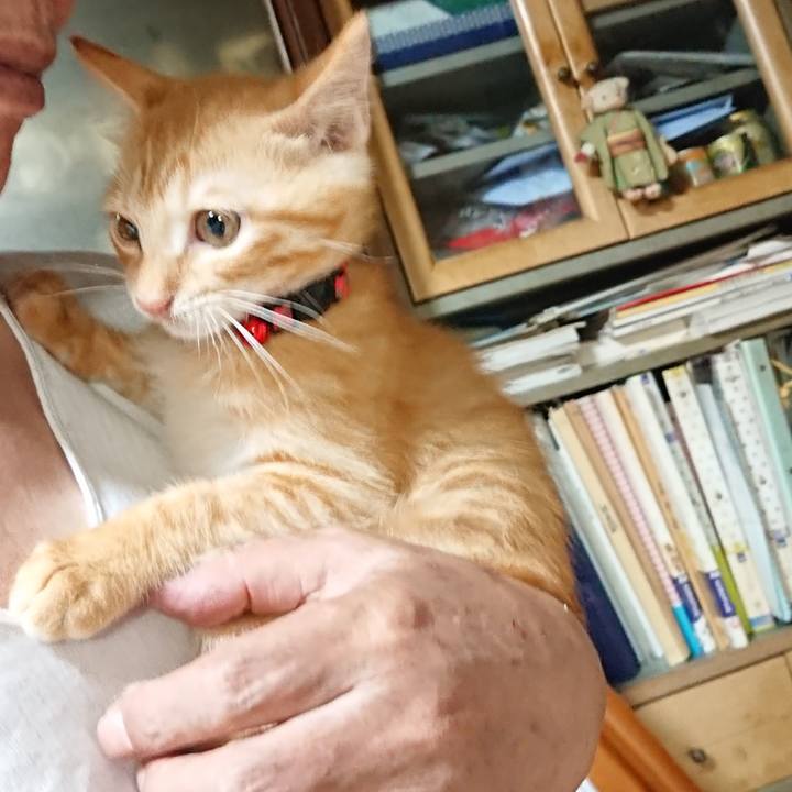 4ede283f 0a0b 49cb 9677 8f78c9493068 1631275286674