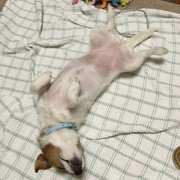 4ede3065 c2d8 401b 95e9 d472b8b95eff 1515932934324