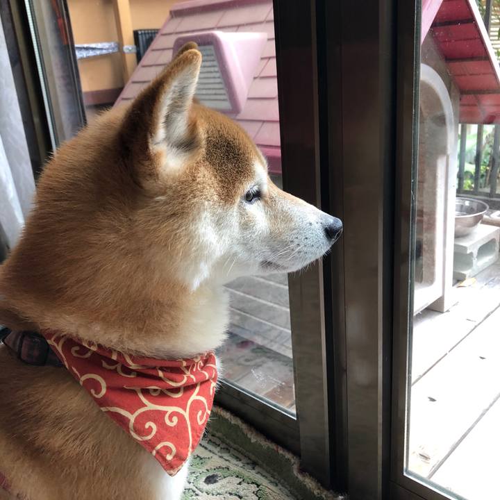 4ede4e35 db68 4b80 9169 a31ecc25354c 1560682712442