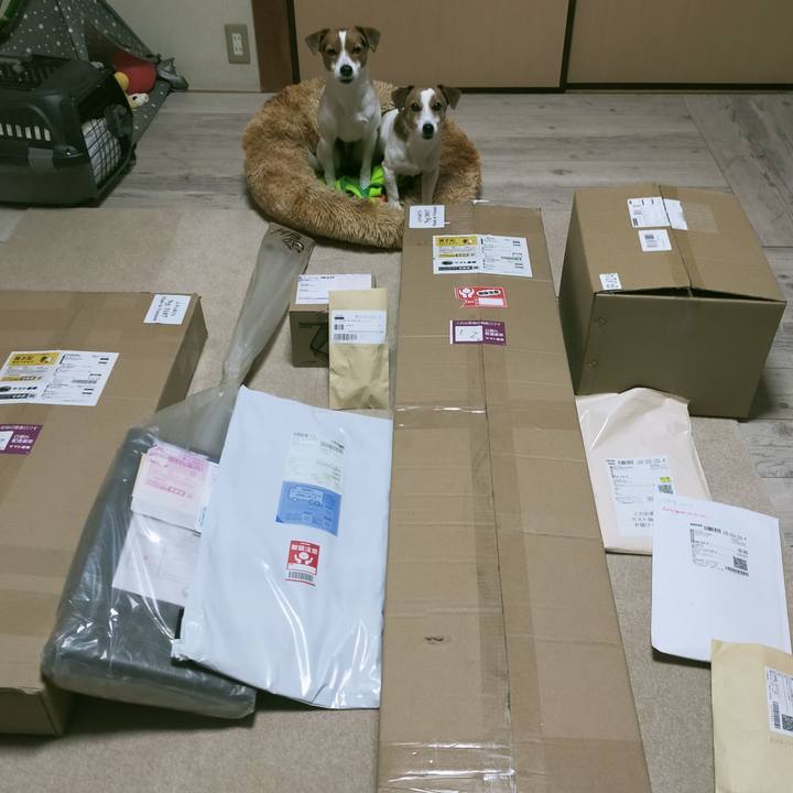 4ede5480 d0d5 4d19 9668 22f7cae2fe0d 1766912317894